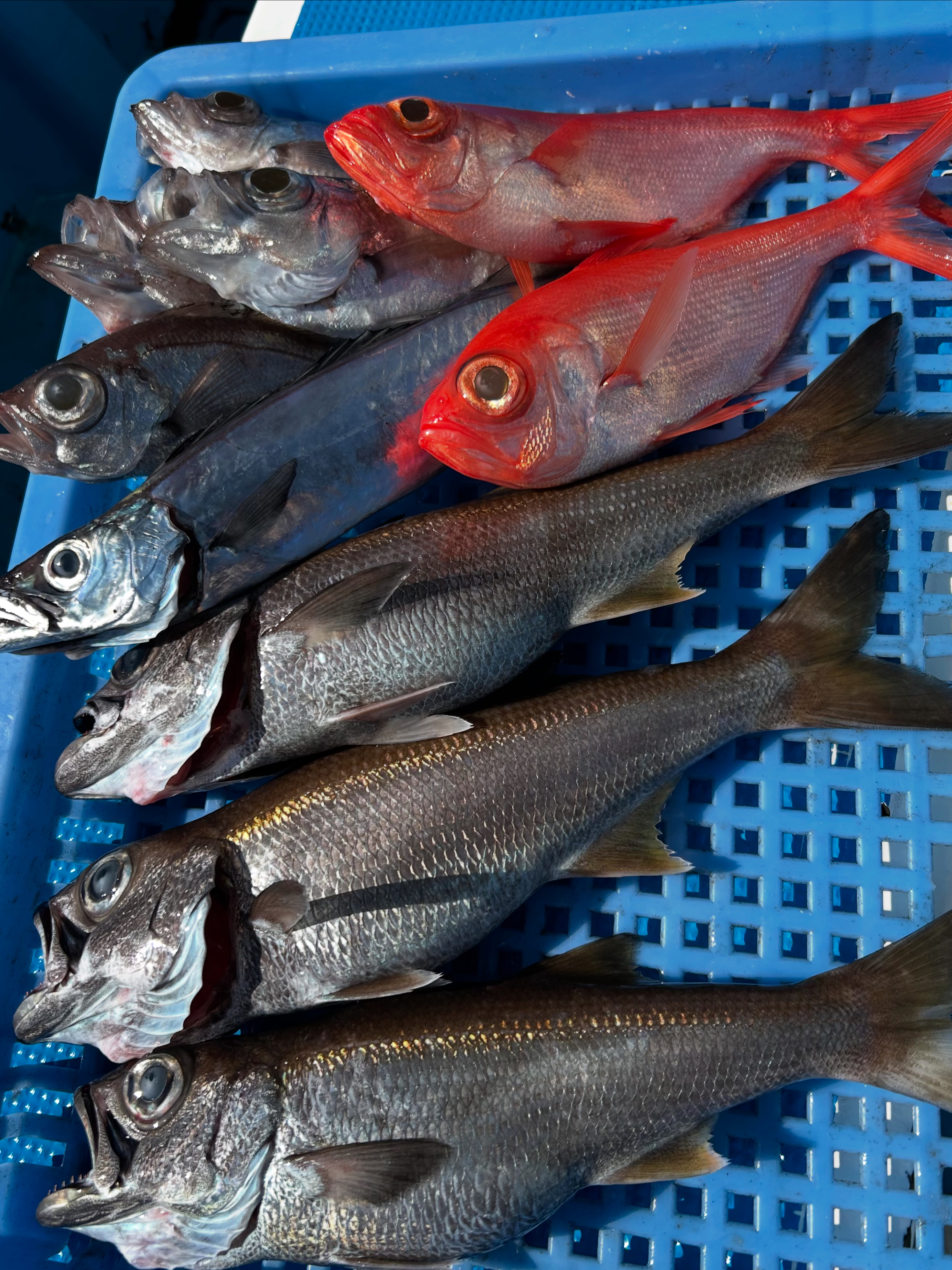 1C1F4BF6-B37A-45DB-86C2-A379FF16329B